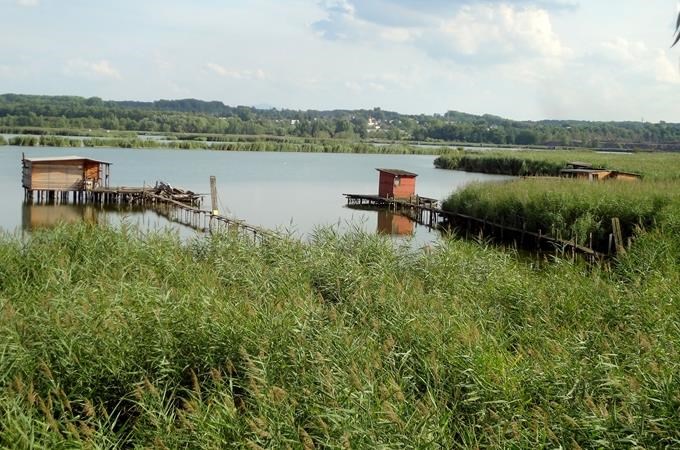 Heřmanický rybník